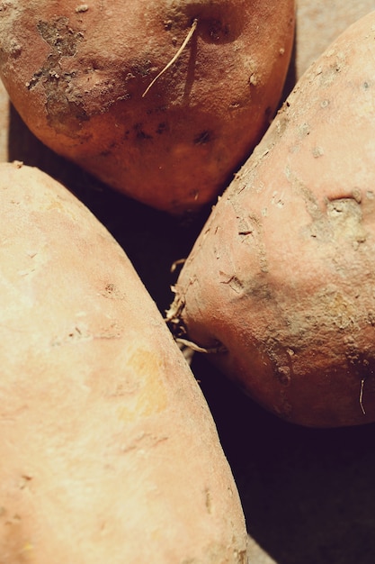 11 Advantages of the Yacon Root Crop