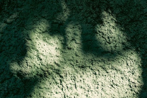 13 Exciting Advantages of Incorporating Spinach Powder into Soap