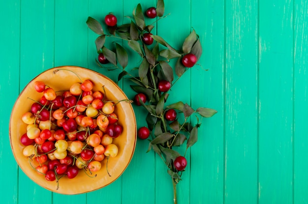 15 Health Advantages of Rainier Cherries