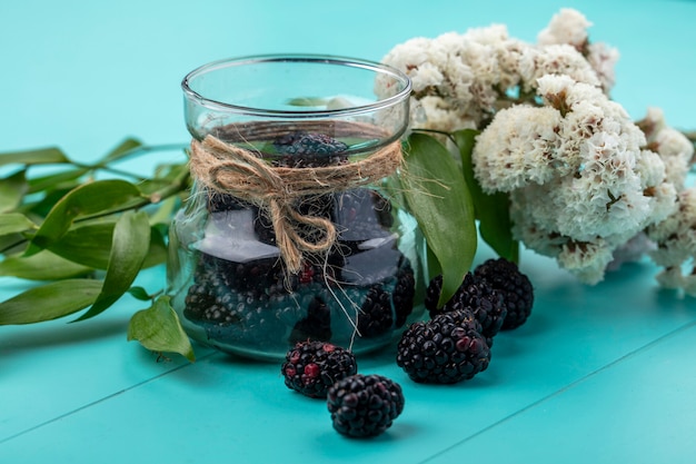 Enhance Your Routine with the Collagen-Boosting Benefits of Blueberry Seed Oil